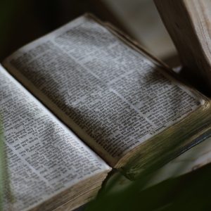 Romani 6:1-13 – Dupa chipul si asemanarea lui Dumnezeu