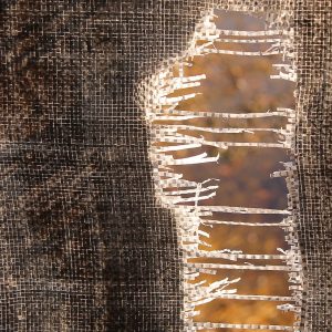 Marcu 10:1-12 Despre divort si recasatorire